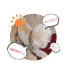 MIMIのきもち（個別スタンプ：17）