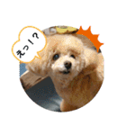 MIMIのきもち（個別スタンプ：24）