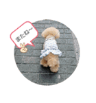 MIMIのきもち（個別スタンプ：27）