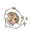 シャルちゃんとルナちゃんスタンプ（個別スタンプ：6）