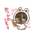 シャルちゃんとルナちゃんスタンプ（個別スタンプ：10）