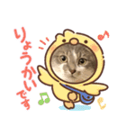 シャルちゃんとルナちゃんスタンプ（個別スタンプ：14）