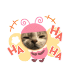 シャルちゃんとルナちゃんスタンプ（個別スタンプ：25）