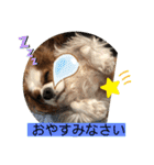 キャバリア♡オリバー③（個別スタンプ：5）