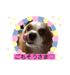 キャバリア♡オリバー③（個別スタンプ：16）