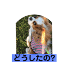 キャバリア♡オリバー③（個別スタンプ：17）