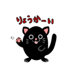 くろたま猫（個別スタンプ：1）