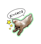 にこの日常part1（個別スタンプ：10）