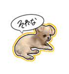 にこの日常part1（個別スタンプ：14）