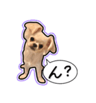 にこの日常part1（個別スタンプ：18）