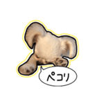 にこの日常part1（個別スタンプ：19）
