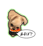 にこの日常part1（個別スタンプ：20）