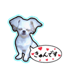 にこの日常part1（個別スタンプ：22）