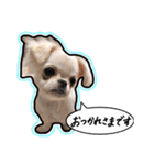 にこの日常part1（個別スタンプ：24）