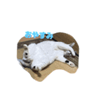 k.n オリジナル2（個別スタンプ：2）
