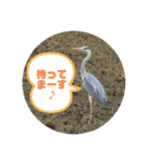 k.n オリジナル2（個別スタンプ：3）