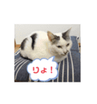 k.n オリジナル2（個別スタンプ：4）