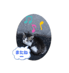 k.n オリジナル2（個別スタンプ：5）