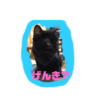 k.n オリジナル2（個別スタンプ：8）