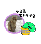 k.n オリジナル2（個別スタンプ：12）