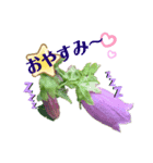 Furawa あいさつ（個別スタンプ：5）