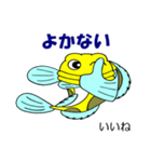 ドン・カッチョ（個別スタンプ：8）
