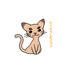たくあん眉毛ネコ（個別スタンプ：1）