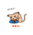 たくあん眉毛ネコ（個別スタンプ：7）