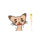たくあん眉毛ネコ（個別スタンプ：15）