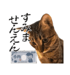 ダジャレ＋死語のデカ文字猫スタンプ2（個別スタンプ：30）