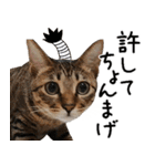 ダジャレ＋死語のデカ文字猫スタンプ2（個別スタンプ：32）
