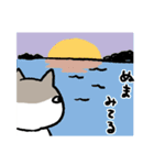 猫(ハチワレ）と毎日いっしょ（個別スタンプ：32）