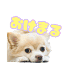 かんなといっしょ！！（個別スタンプ：1）