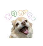 かんなといっしょ！！（個別スタンプ：2）