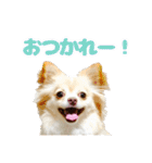 かんなといっしょ！！（個別スタンプ：3）