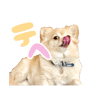 かんなといっしょ！！（個別スタンプ：4）