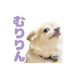 かんなといっしょ！！（個別スタンプ：6）