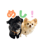 かんなといっしょ！！（個別スタンプ：7）