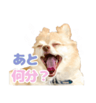 かんなといっしょ！！（個別スタンプ：8）