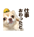 かんなといっしょ！！（個別スタンプ：9）