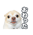 かんなといっしょ！！（個別スタンプ：11）