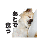 かんなといっしょ！！（個別スタンプ：12）