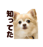 かんなといっしょ！！（個別スタンプ：13）