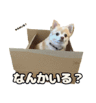 かんなといっしょ！！（個別スタンプ：14）