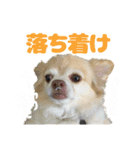 かんなといっしょ！！（個別スタンプ：16）