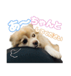 かんなといっしょ！！（個別スタンプ：17）