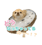 かんなといっしょ！！（個別スタンプ：18）