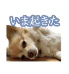 かんなといっしょ！！（個別スタンプ：20）