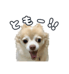 かんなといっしょ！！（個別スタンプ：22）