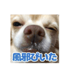 かんなといっしょ！！（個別スタンプ：26）